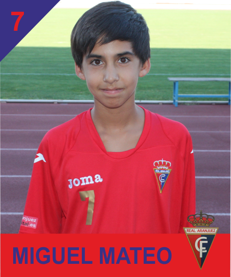 MIGUEL MATEO